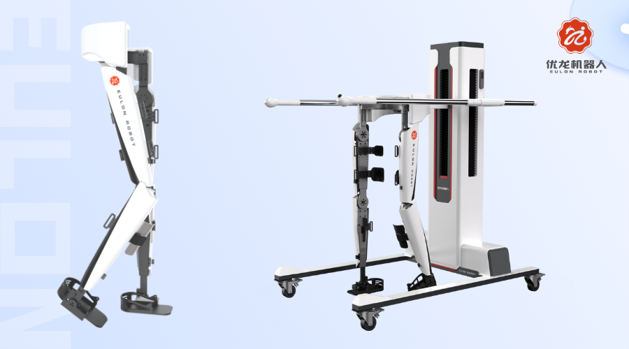 Lower Limb Exoskeleton Gait Training System